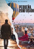 Portada del libro "Peque&ntilde;a Confusi&oacute;n"