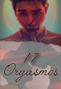 Portada del libro "17 Orgasmos (one Shot) (jeffta)"