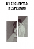 Portada del libro "Un encuentro inesperado"