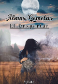 Portada del libro "Almas Gemelas: El Despertar."