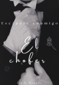 Portada del libro "El chófer"