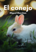 Portada del libro "El conejo"