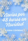 Portada del libro "Novios por 48 horas en Navidad"