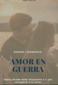 Portada del libro "Amor en guerra"