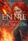 Portada del libro "entre las llamas del dragón (el error de un dios) 2"