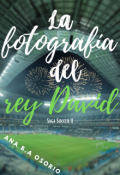 Portada del libro "La fotografía del Rey David (estrellas del campo #2)"