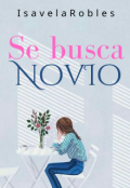 Portada del libro "Se busca novio"