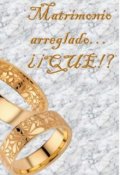 Portada del libro "Matrimonio arreglado... ¿¡que!?"