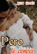 Portada del libro "Pero te conocí"