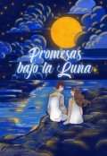 Portada del libro "Promesas bajo la luna "