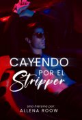 Portada del libro "Cayendo por el Stripper "