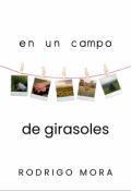 Portada del libro "En un campo de girasoles"