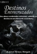 Portada del libro "Destinos Entrecruzados"