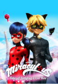 Portada del libro "Miraculous:las aventuras de Ladybug y chat noir."