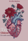 Portada del libro "Tres chicos un solo corazón "