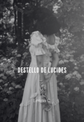 Portada del libro "Destello de lucides"