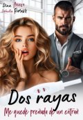 Portada del libro "Dos rayas. Me quedé preñada de un extraño"