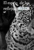 Portada del libro "El espejo de los reflejos inversos"