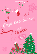 Portada del libro "Bajo las luces de Diciembre"