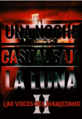 Portada del libro "Una Noche Casual Bajo La Luna 2: Las voces del manicomio"