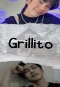 Portada del libro "Grillito (biblebuild)"