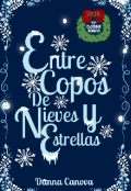 Portada del libro "Entre Copos de Nieves y Estrellas"