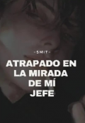 Portada del libro "Atrapado en la mirada de mí jefe"