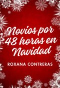 Portada del libro "Novios por 48 horas en Navidad"