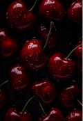 Portada del libro "Black Cherry Wine "