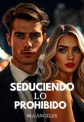 Portada del libro "Seduciendo lo prohibido"