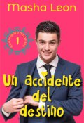 Portada del libro "Un accidente del destino"