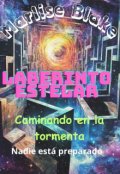 Portada del libro "Laberinto Estelar: Caminando en la tormenta (v.D)"