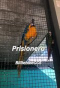 Portada del libro "Prisionera"