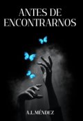 Portada del libro "Antes de encontrarnos"