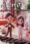 Portada del libro "Amor a primer matrimonio"