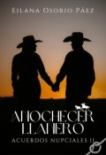 Portada del libro "Anochecer Llanero - Acuerdos nupciales 2"