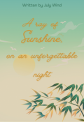 Portada del libro "A ray of sunshine, on an unforgettable night"