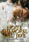 Portada del libro "No te Enamores del Jefe"