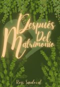 Portada del libro "Después del Matrimonio."