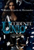 Portada del libro "El Accidente que nos unió"