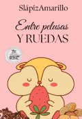 Portada del libro "Entre pelusas y ruedas"