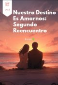 Portada del libro "Nuestro destino es amarnos: Segundo Reencuentro"