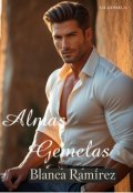 Portada del libro "Almas Gemelas"