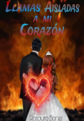 Portada del libro "Llamas Aisladas A Mi Corazón "