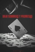 Portada del libro "Bajo Sombras y Promesas"