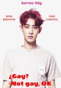 Portada del libro "Gay not gay [chanbaek]"