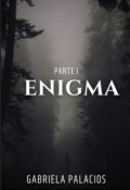 Portada del libro "Enigma"