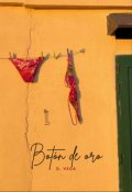 Portada del libro "Botón de oro"