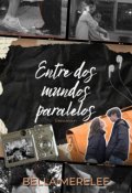 Portada del libro "Entre dos mundo paralelos | Entre sueños #1"