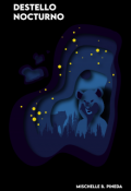Portada del libro "Destello Nocturno "